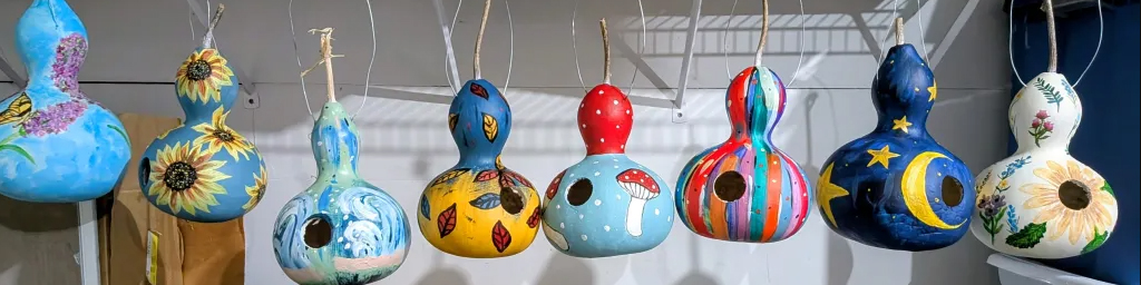 Bottle Gourds!